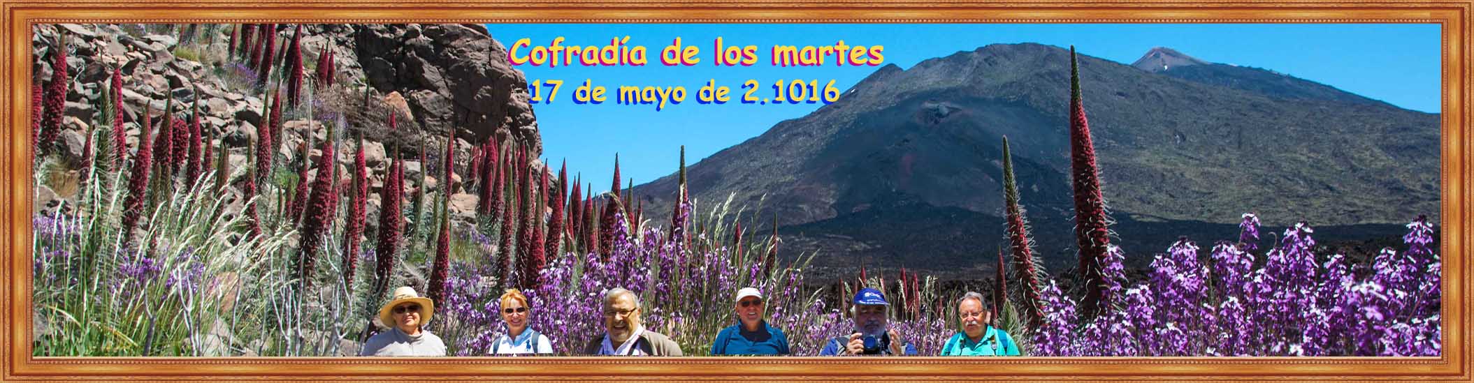 Tajinastes y alhelíes en flor. Mayo 2016. Las Cañadas del Teide