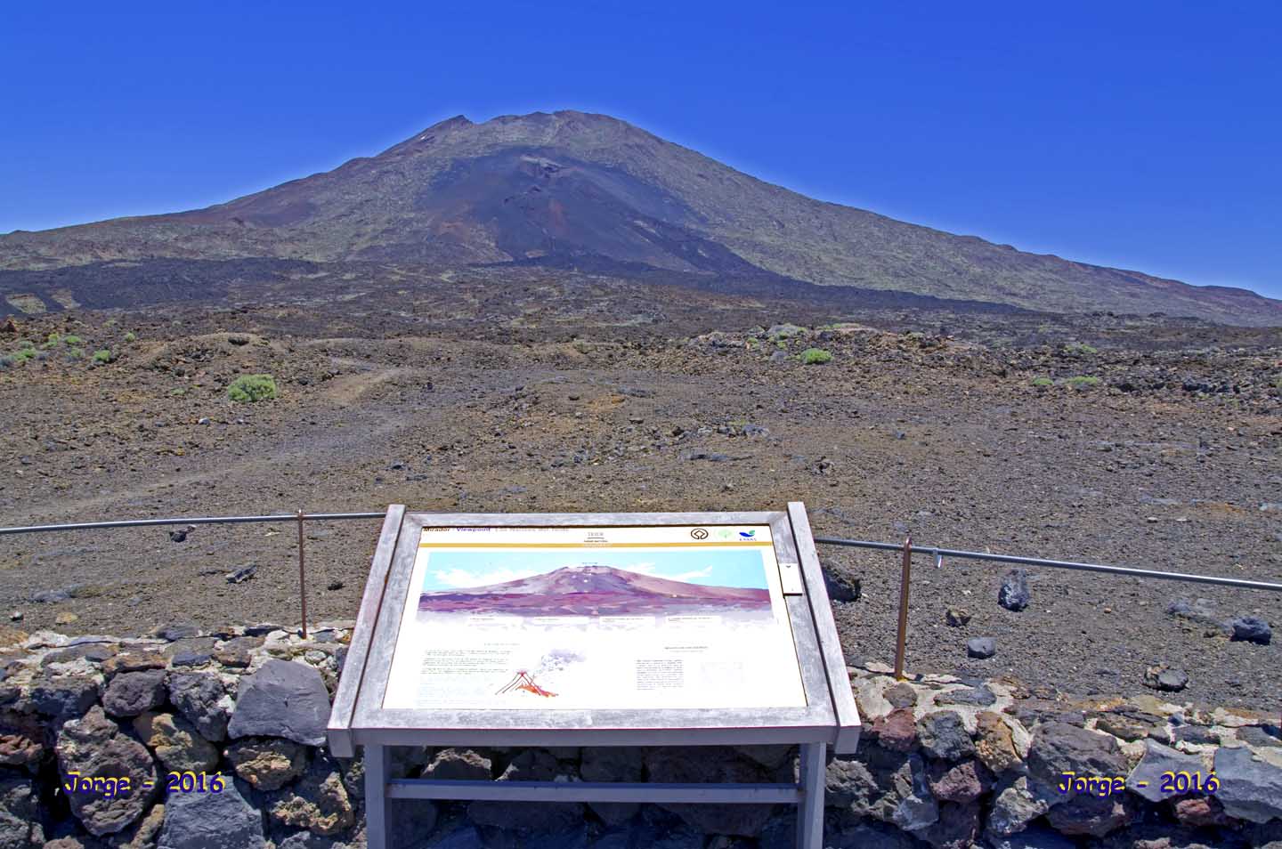 Tajinastes y alhelíes en flor. Las Cañadas del Teide - Tenerife
